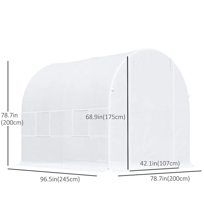 Chilli 2.5 x 2 x 2 m Polytunnel Greenhouse, Walk-in Green House for Garden with Mesh Windows, Galvanised Steel Frame, White