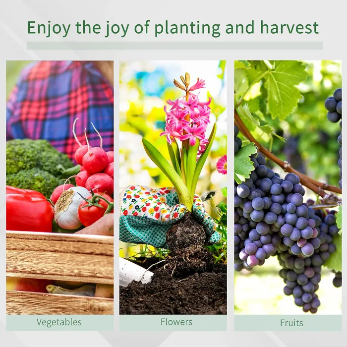 Chilli 3L x 2W x 2H M Greenhouse Walk-in Polytunnel Outdoor Garden Flower Vegetable Planter 25mm Diameter Galvanised Steel Frame