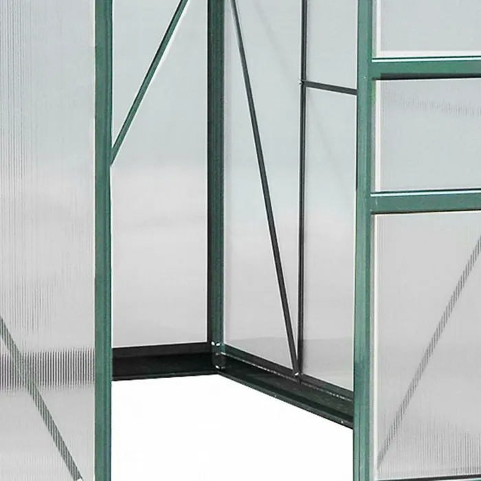 Chilli 6 x 8ft Polycarbonate Greenhouse, Large Walk-In Green House with Slide Door and Window, Garden Plants Grow House