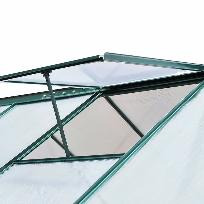 Chilli 6 x 8ft Polycarbonate Greenhouse, Large Walk-In Green House with Slide Door and Window, Garden Plants Grow House