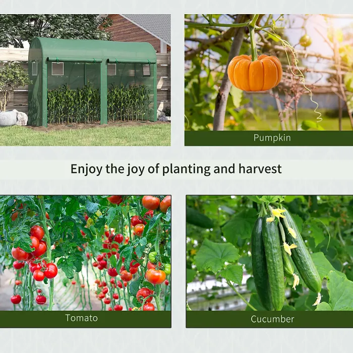 Chilli Walk-in Greenhouse, Tomato Greenhouse with Double Doors & 4 Windows, Garden Plant Growth Green House