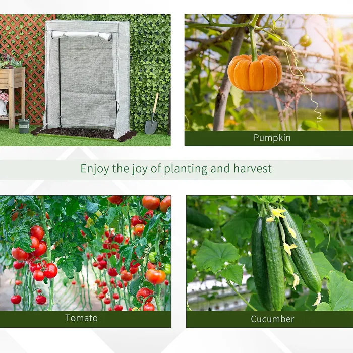 Chilli 100 x 50 x 150cm Tomato Greenhouse with Roll-up Door, Mini Greenhouse with PE Cover, Outdoor Grow House Small Green House