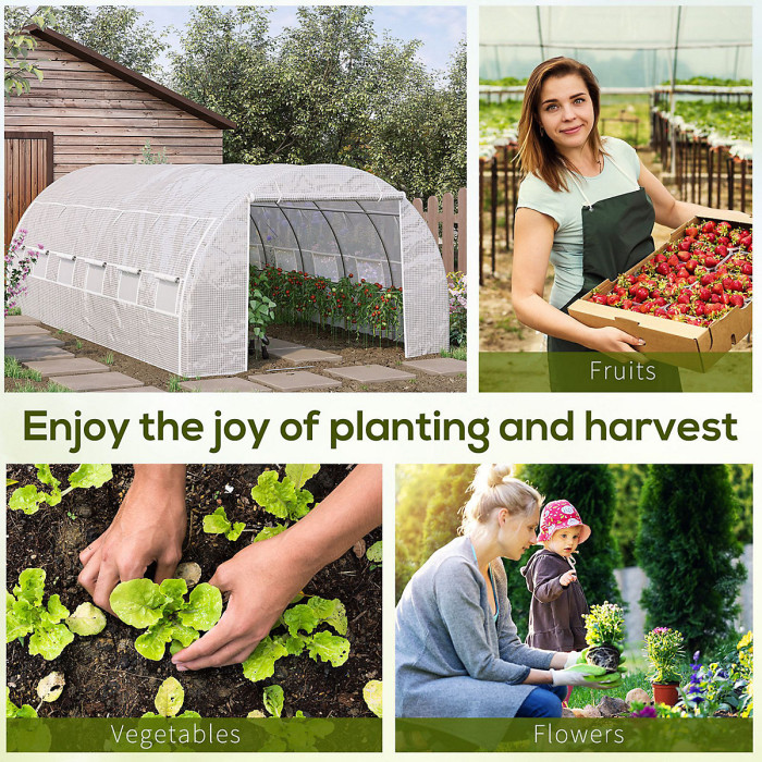 Chilli 6 x 3 x 2 m Polytunnel Greenhouse with Roll-up Side Walls, Walk-in Grow House Tent with Steel Frame, Reinforced Cover