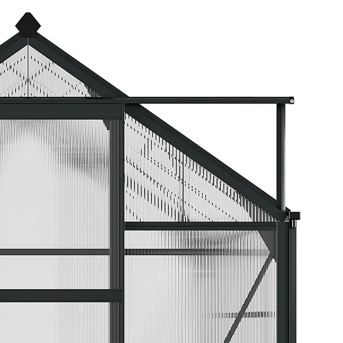 Chilli 6 x 8ft Polycarbonate Greenhouse, Large Walk-In Green House with Slide Door and Window, Garden Plants Grow House