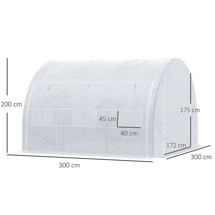 Chilli 3 x 3 x 2 m Polytunnel Greenhouse with Roll-up Side Walls, Walk-in Grow House Tent with Steel Frame, Reinforced Cover