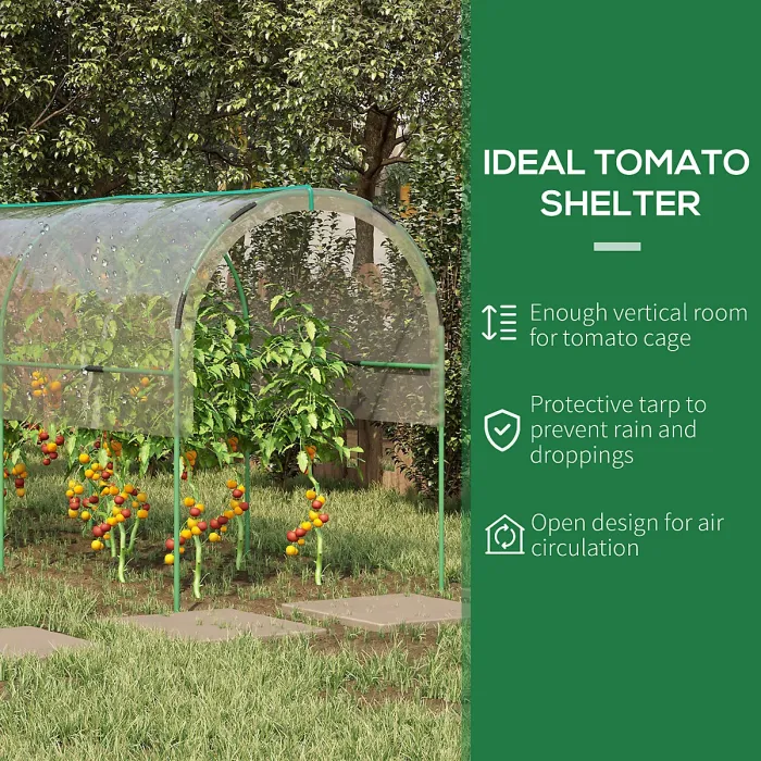 Chilli Tunnel Tomato Greenhouse with 4 Hoops and Top Tap, Pointed Bottom and Guy Ropes, 400 x 123 x 171 cm, Clear