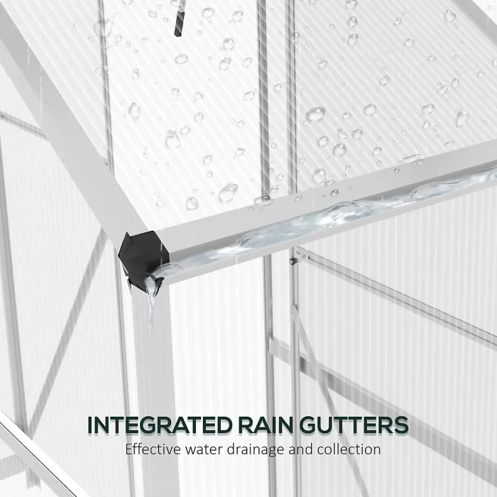 Chilli 6 x 2.5ft Polycarbonate Greenhouse Walk-In Green House with Rain Gutter, Sliding Door, Window, Foundation, Silver