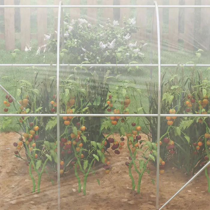 Chilli Polytunnel Greenhouse Walk-in Grow House with PE Cover, Door and Galvanised Steel Frame, 3 x 2 x 2m, Clear