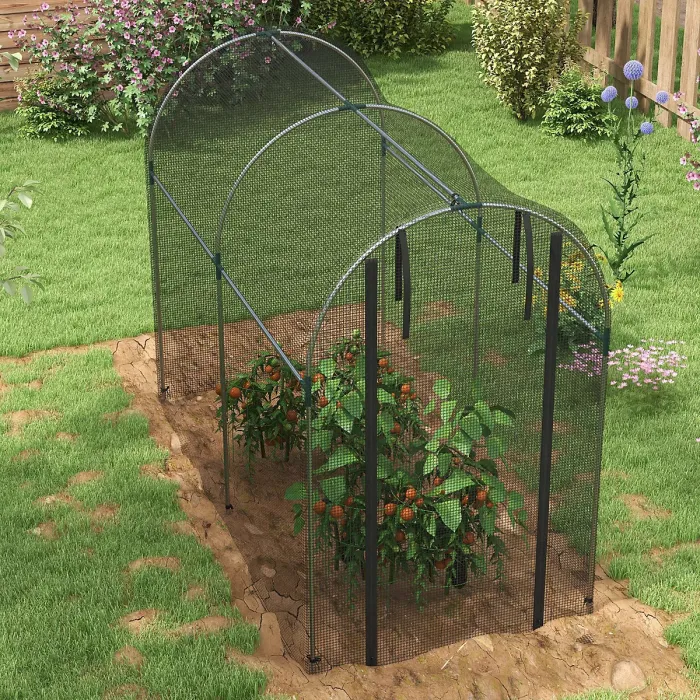Chilli Galvanised Steel Fruit Cage, Plant Protection Tent with Zipped Door, 1.2 x 2.4 x 1.9m, Black
