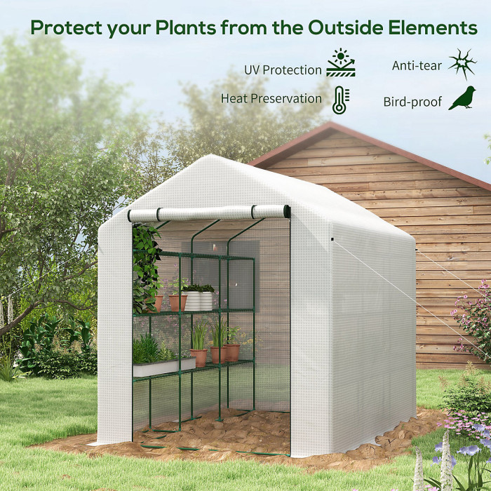 Chilli 8 x 6ft Walk-In Greenhouse, with Shelves - White