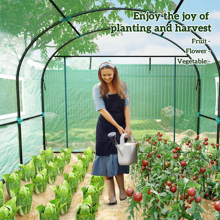 Chilli 300 x 300cm Walk-In Polytunnel Greenhouse - Green