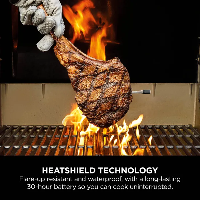 Ninja ProChef Wireless Thermometer Probe