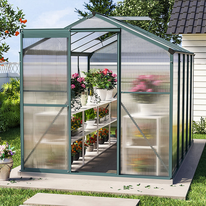Polycarbonate Greenhouse Aluminium Frame Wall In Garden Green House 10 x 6 ft