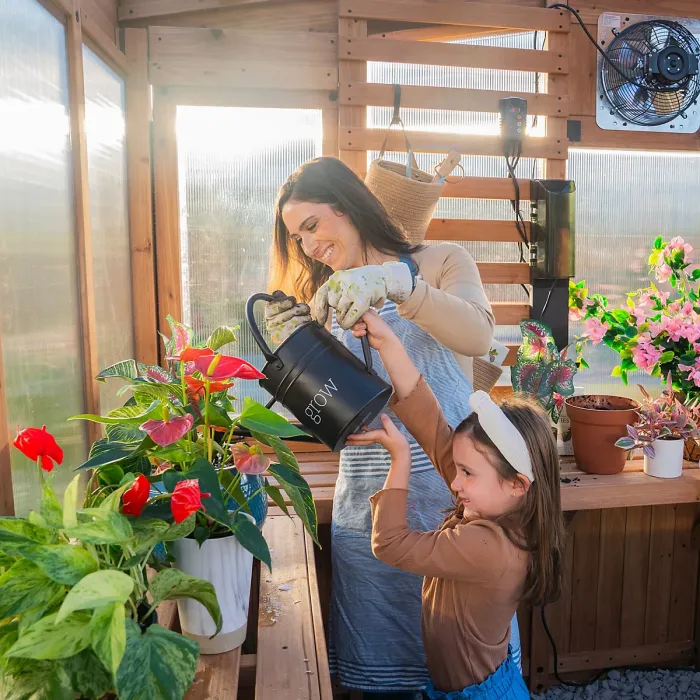 Backyard Discovery Willow Cedar Wood Greenhouse 2.7m x 1.8m (9ft x 6ft)