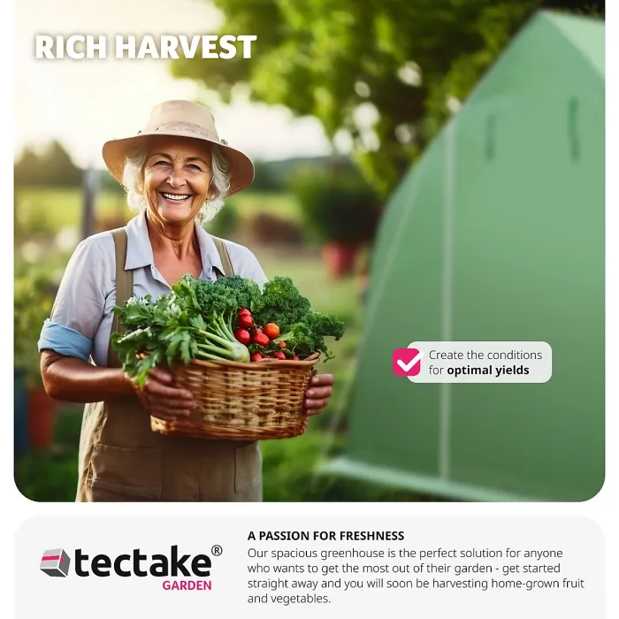 Greenhouse - polytunnel with 8 windows, 600 x 300 x 205 cm - 600 x 300 x 205 cm