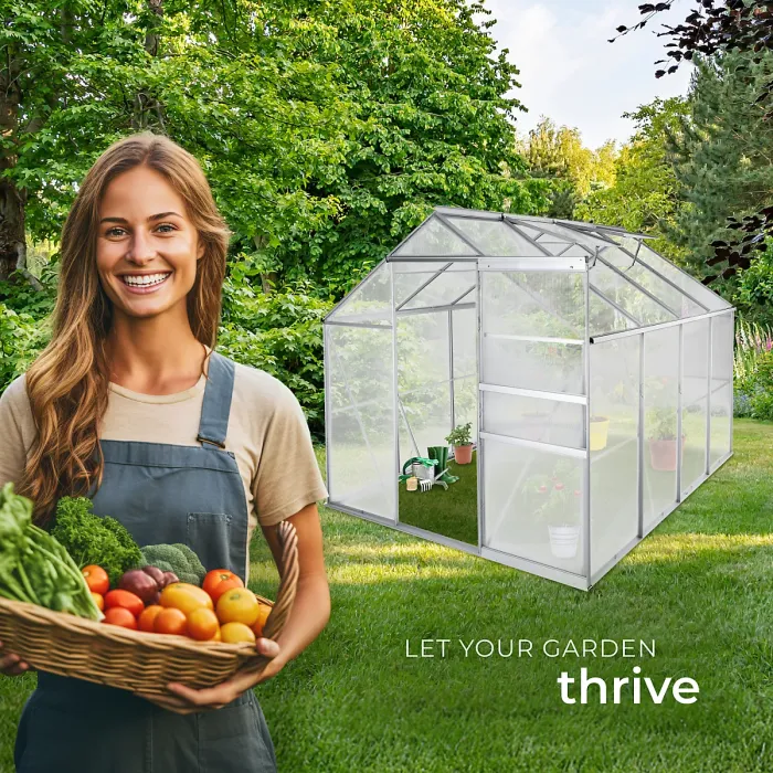 Aluminium greenhouse, UV-resistant, 185x250x195cm - 250 x 185 x 195 cm