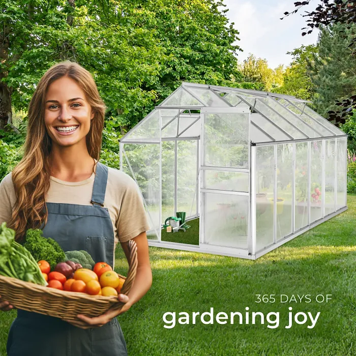 Greenhouse with foundation - anodised aluminium, 185 x 375 x 195cm - 375 x 185 x 195 cm