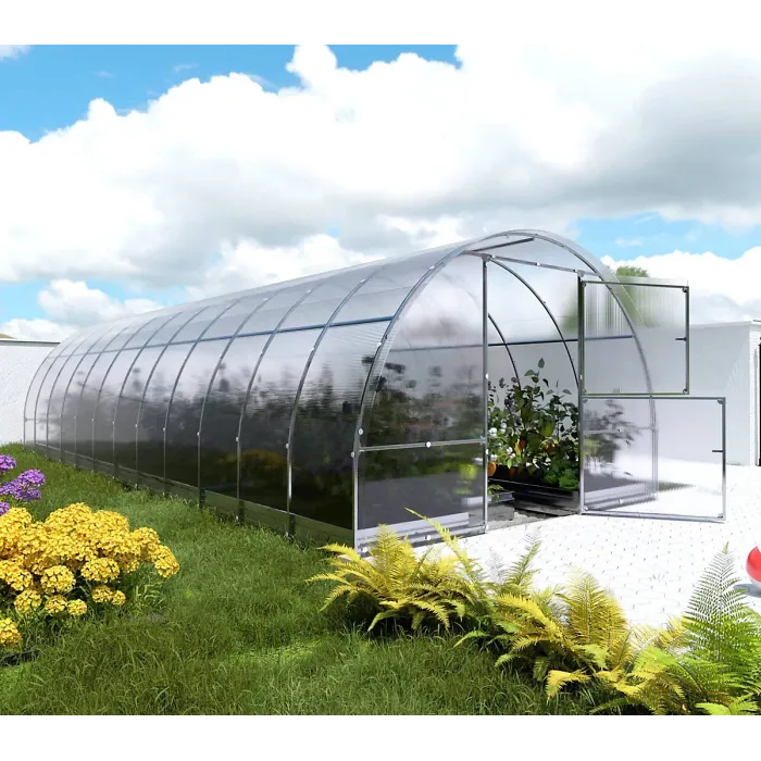 Durable greenhouse KLASIKA EASY 3 x 8 m (24 m²), 4 mm polycarbonate cover