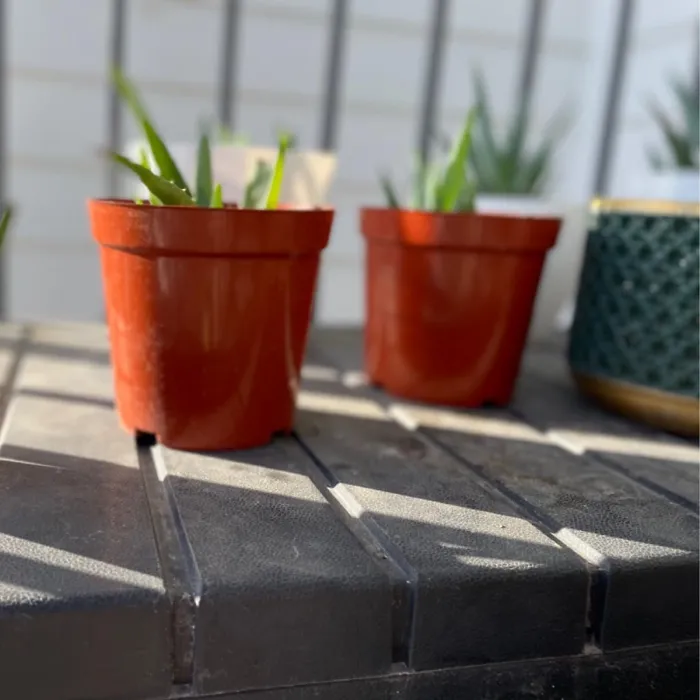 31cm Plastic Plant Nursery Seeding Garden Indoor Outdoor Balcony Container for Fruit Flower Pot 12 inch