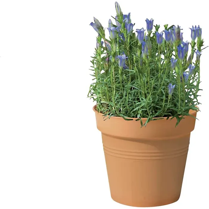 11 cm Living Round Decor Recycled Material Indoor Garden Balcony Window Container Holder Plant Flower Organizer Pot, Mild Terra