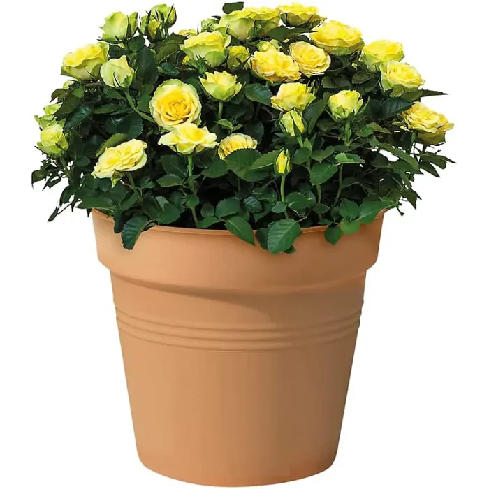 24cm Living Round Decor Recycled Material Indoor Garden Balcony Window Container Holder Plant Flower Organizer Pot, Mild Terra