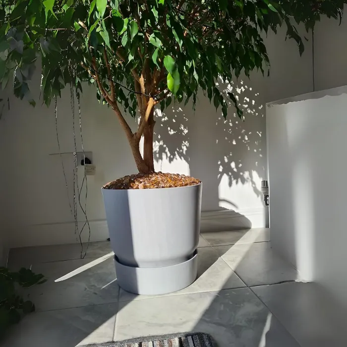 Greenville Concrete 30cm Living Round Recycle Plastic Indoor Garden Balcony Window Container Holder Plant Flower Organizer Pot