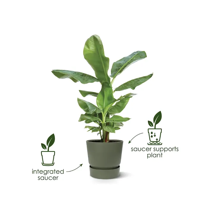 Greenville Green 30cm Living Round Decor Recycled Plastic Indoor Garden Balcony Window Container Holder Plant Flower Organizer Pot