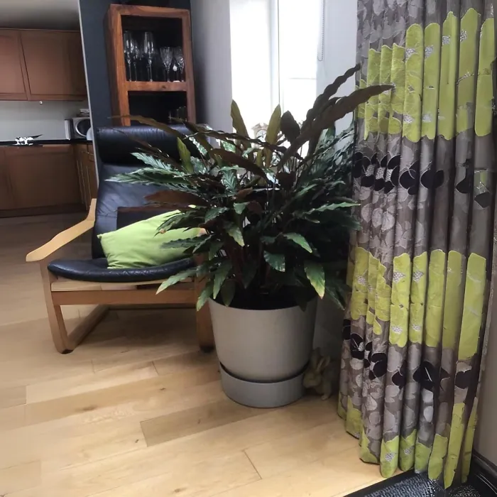 Greenville Green 30cm Living Round Decor Recycled Plastic Indoor Garden Balcony Window Container Holder Plant Flower Organizer Pot