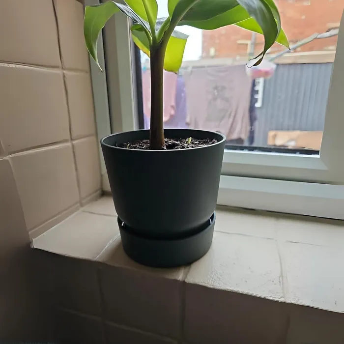 Greenville Green 20cm Living Round Decor Recycled Plastic Indoor Garden Balcony Window Container Holder Plant Flower Organizer Pot