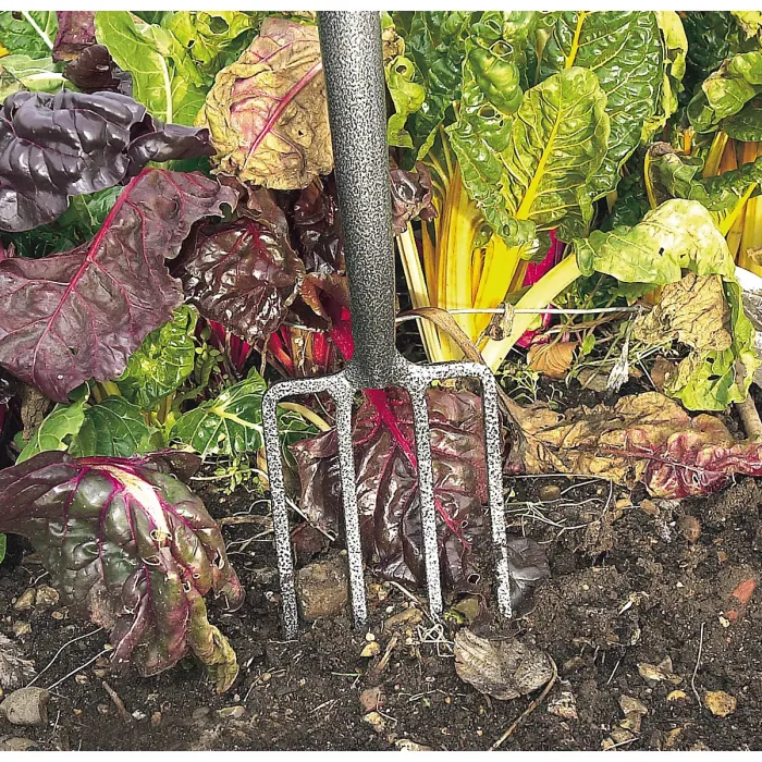 Draper Carbon Steel Border Fork 88791