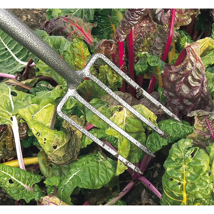 Draper Carbon Steel Border Fork 88791