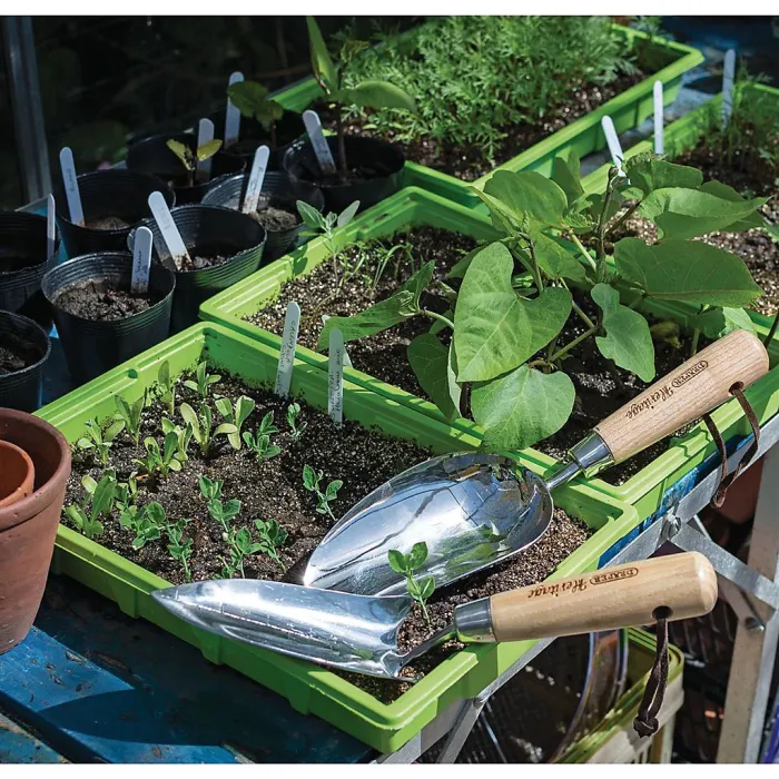 Draper Heritage Stainless Steel Hand Potting Scoop with Ash Handle 99024