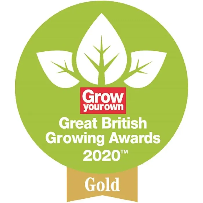 Spear & Jackson Hand Shears Blue