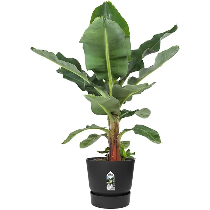 Greenville Black 40cm Living Round Decor Recycled Plastic Indoor Garden Balcony Window Container Holder Plant Flower Organizer Pot