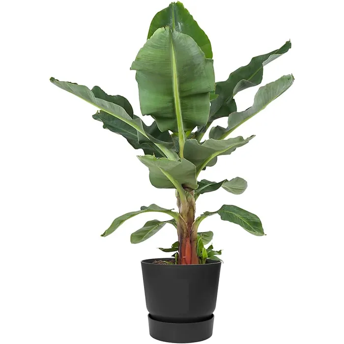 Living Round Decor Recycled Material Indoor Garden Balcony Window Container Holder Plant Flower Organizer Pot Black 30 cm