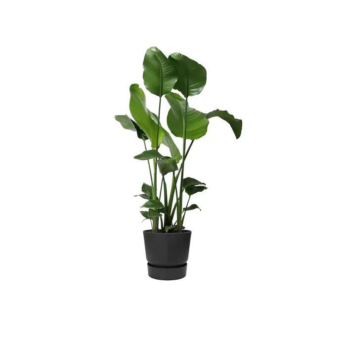 Living Round Decor Recycled Material Indoor Garden Balcony Window Container Holder Plant Flower Organizer Pot Black 30 cm