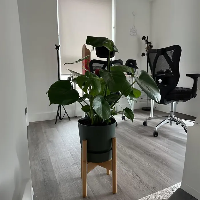 Greenville Black 20cm Living Round Decor Recycled Plastic Indoor Garden Balcony Window Container Holder Plant Flower Organizer Pot