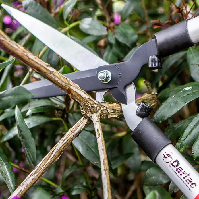 Darlac Clip-N-Cut Hedging Shear