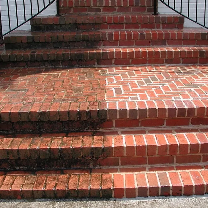 GardenersDream Patio Cleaner 5L - Ready To Use Outdoor Algae & Mould Remover