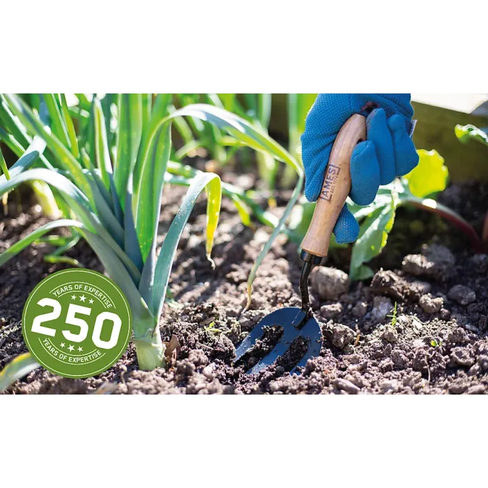 AMES High-Quality Carbon Steel Garden Hand Fork