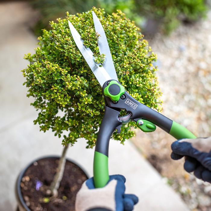 AMES Carbon Steel Garden Hand Shears 18.5cm