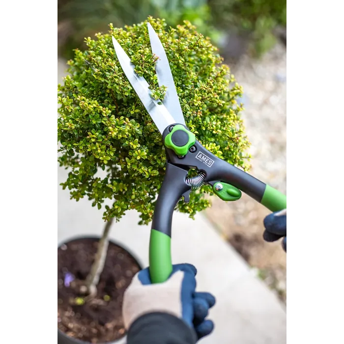 AMES Carbon Steel Garden Hand Shears 18.5cm