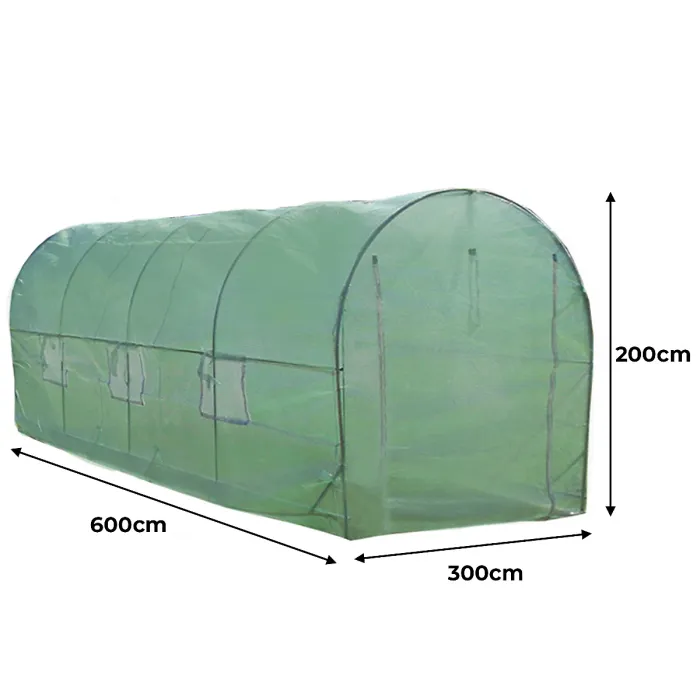 Polytunnel Greenhouse 6m x 3m with Shelving Units