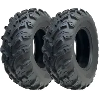 25x10.00-12 (255/65-12) 4ply ATV Tyres P3080 OBOR Pinacle Road Legal (Set of 2)