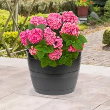 YouGarden 3 x Barrel Planters 50 Litre Containers, Lightweight Durable Frost Resistant Garden Colour Great for Pots