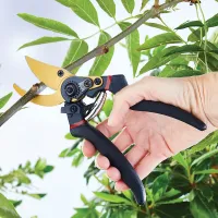 Titanium Bypass Pruning Shears, Ultra-Sharp Garden Secateurs, Soft Grip Handles, Lockable, Easy-Clean Titanium Coating