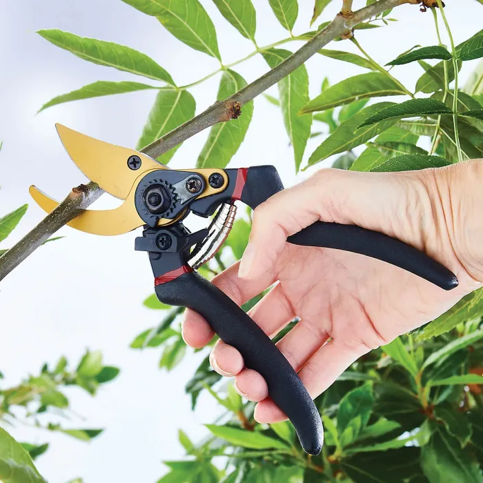 Titanium Bypass Pruning Shears, Ultra-Sharp Garden Secateurs, Soft Grip Handles, Lockable, Easy-Clean Titanium Coating