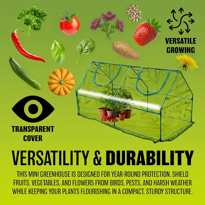 Mini Greenhouse With Clear Durable Pvc Cover Small Plant Grow House For Garden Outdoor Fruit & Veg Growhouse