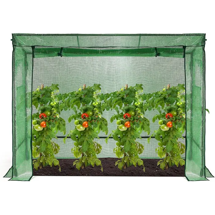 Walk-In Tomato Greenhouse with Roll-Up Door, 200x78x130/150cm Size for Gardening Needs