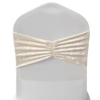 Pack of 10 Velvet Chair Band Glitz Shiny Fabric Strechy Chair Band Sash, Champagne